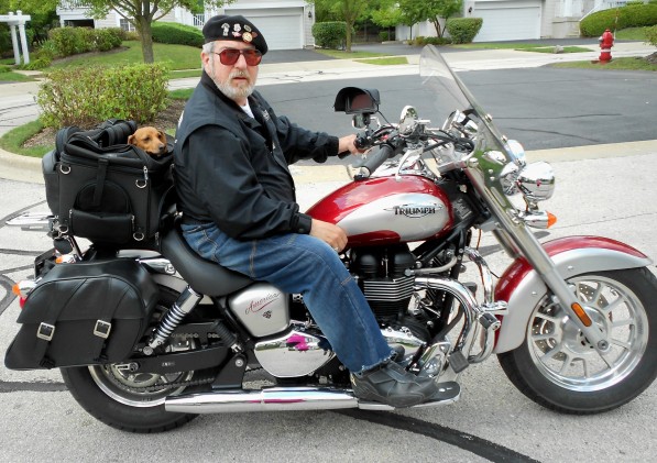 Motorcycle pet carrier | Ken Glassman's Ride Reviews